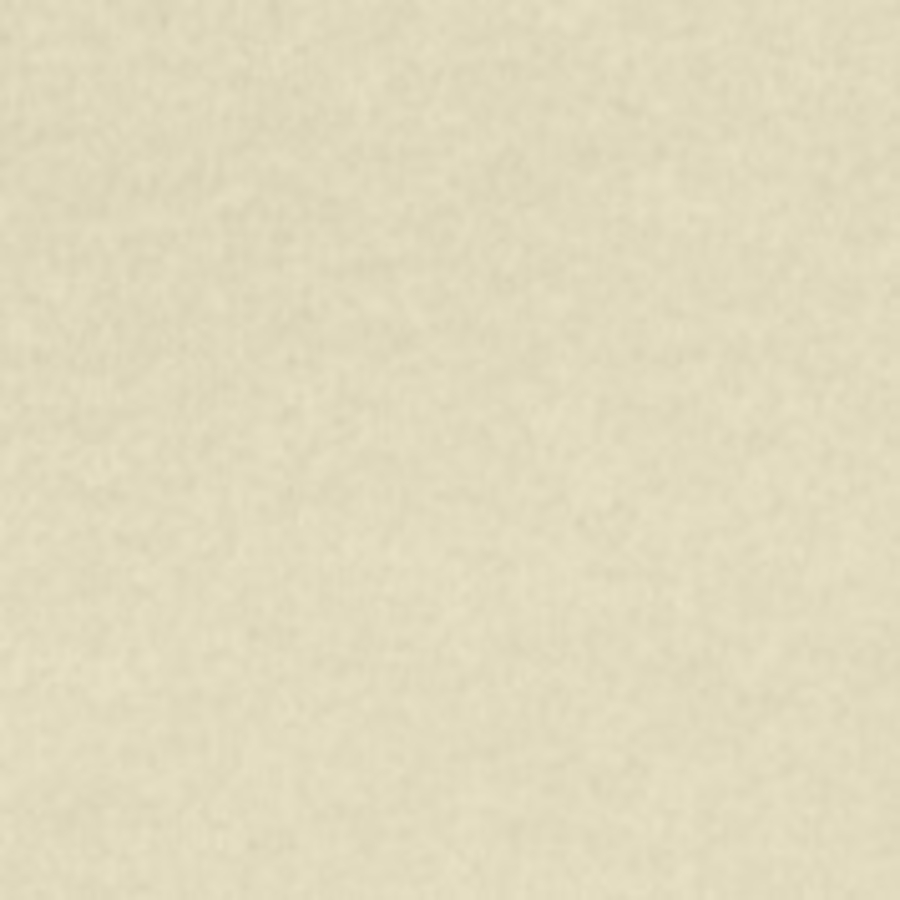 ASTROPARCHE® Papers 8 1/2 X 11 65# NATURAL VELLUM 23.36m CTN/2000