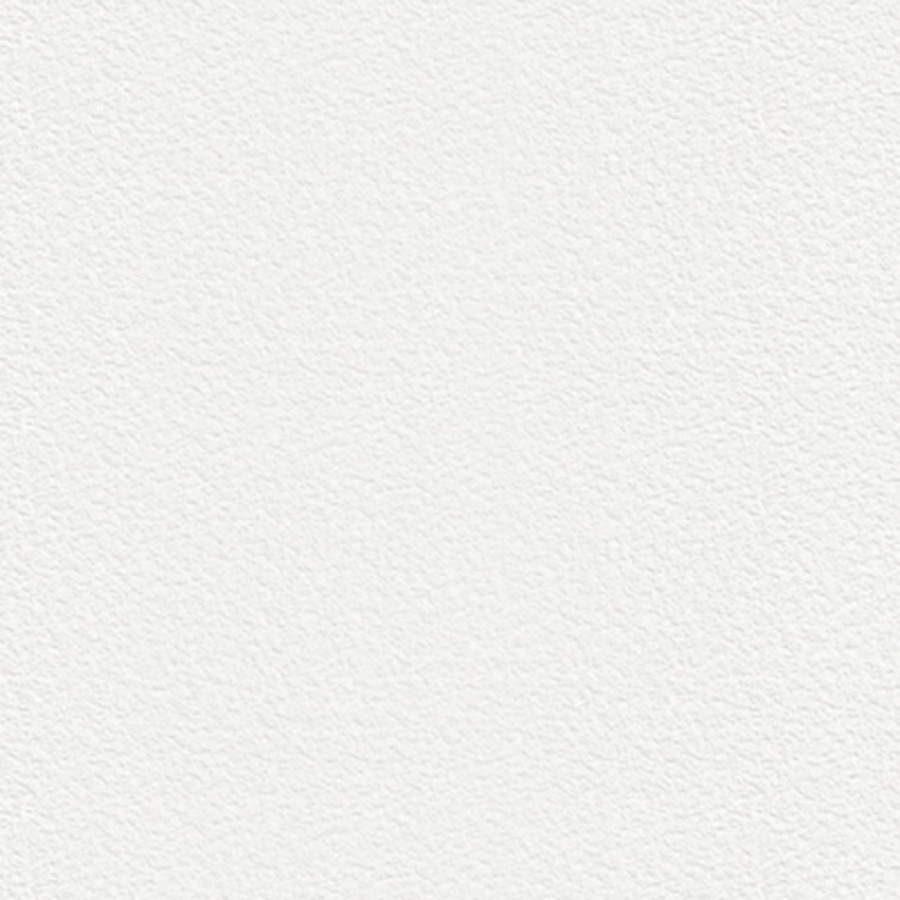 CLASSIC® Stipple Papers 18 X 12 100# SOLAR WHITE STIPPLE 83.06m RM/125