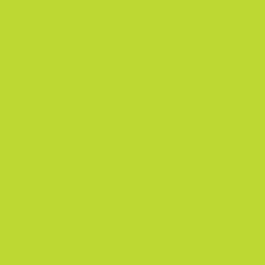 ASTROBRIGHTS® Papers 18 X 12 65# TERRA GREEN™ SMOOTH 54m CTN/1000 RM/250