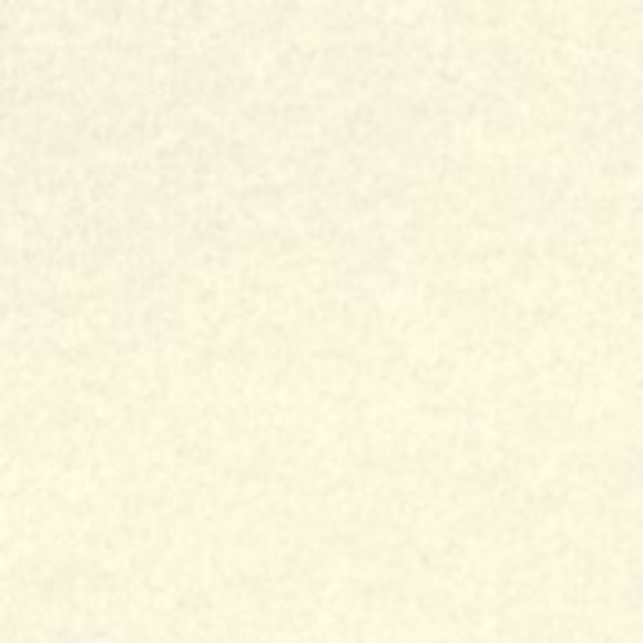 ASTROPARCHE® Papers 23 X 35 65# White VELLUM 201m CTN/500