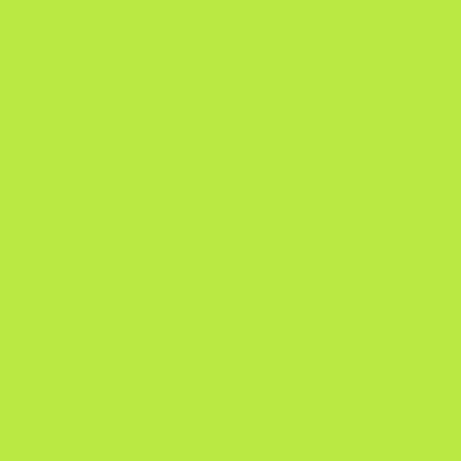 ASTROBRIGHTS® Papers 8 1/2 X 11 60# VULCAN GREEN™ SMOOTH 11.8m RM/500