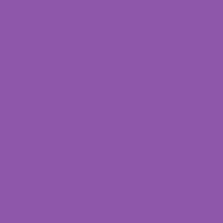 ASTROBRIGHTS® Papers 8 1/2 X 11 60# GRAVITY GRAPE™ SMOOTH 11.8m RM/500